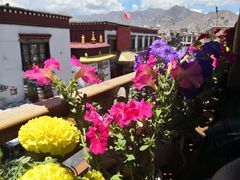 景观位-玛吉阿米·餐吧