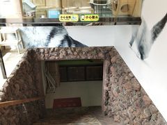 -米卢宠物公园(广华居店)