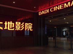 -大地影院(上海南汇店)