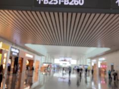 -广州白云国际机场-T2航站楼