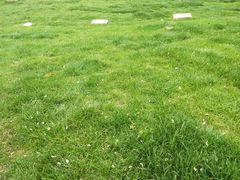 -盘龙城遗址博物院