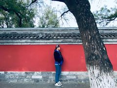 -北京国子监胡同