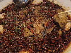 -川味堂·四川豆花(八卦岭店)