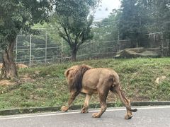 -乐和乐都动物主题乐园