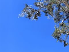 -瓦屋山景区