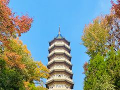 -灵谷景区