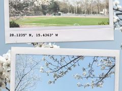 -武汉大学-樱园