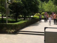 -上海佘山国家森林公园天马山园