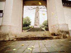 -上海佘山国家森林公园天马山园