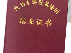 -胜华驾校·小猫学车(银都店)