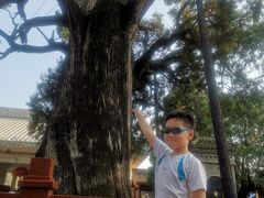 -黄帝陵