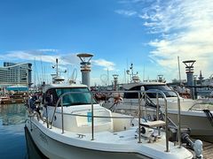 -日照世帆赛基地