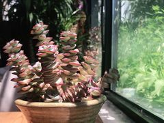 -北马山庄植趣咖啡