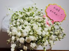 -Dark Horse·黑马蛋糕·低脂·低糖淡奶(金匙望湖大厦店)