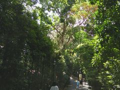 -植物园哈利亚餐厅