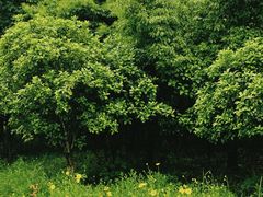 -盘龙城国家考古遗址公园