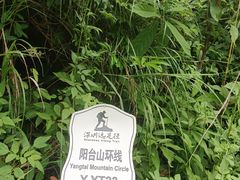 -阳台山森林公园