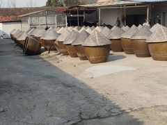 -苏州市吴中区光福窑上花果蜜饯厂