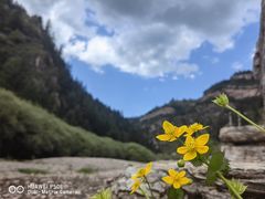 -芦芽山旅游度假区