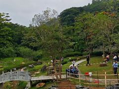 -黄埔油麻山森林公园