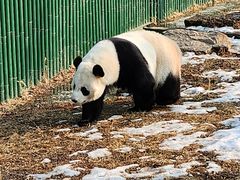 -沈阳森林动物园