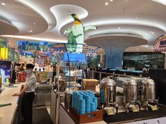 -帝企鹅自助餐厅•儿童岛•真企鹅(长隆企鹅酒店)