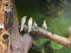 -苏州海洋馆