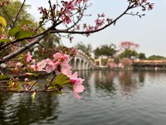 -宝墨园景区