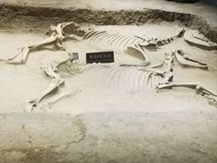 -洛阳周王城天子驾六博物馆