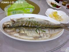 太湖白鱼-石家饭店原址