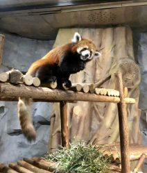 -Zoolung Zoolung动物主题公园(海信广场店)