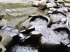 -成都市活水公园