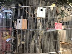 -东四民芳餐厅(世茂工三店)