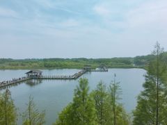-溱湖国家湿地公园
