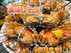 -七的湖·晚芳亭·阳澄湖农家菜·大闸蟹(莲花岛店)