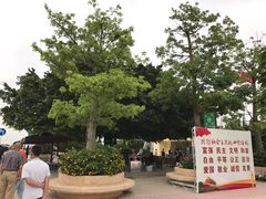 室外等候区-香洲港码头