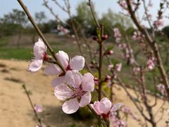 -龙熙温泉高尔夫俱乐部