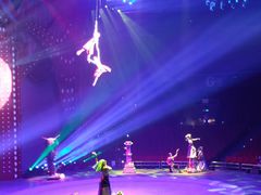 -珠海横琴长隆《卡卡虎奇遇记》