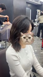 -藤野造型