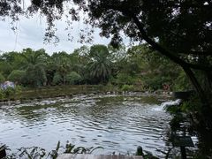 -海南热带野生动植物园