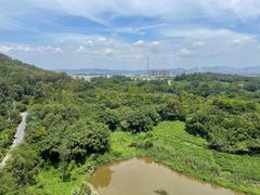 -美的鹭湖探索王国