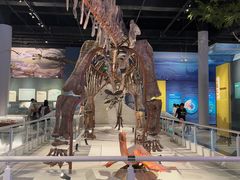 -国家自然博物馆