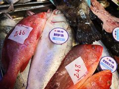 锅烧深海碟鱼头-大份-开海·红岛海鲜虾水饺(石老人店)