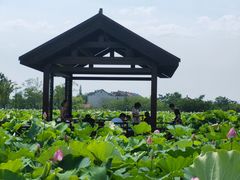 -梁鸿国家湿地公园