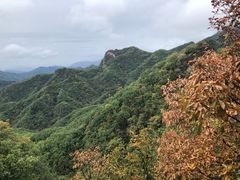 -六里坪国家森林公园