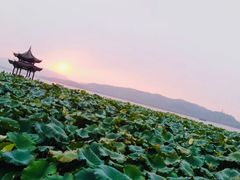 -西湖游船