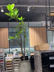 点击看大图 -Mentor Hair Salon