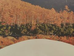 -东北风(江北万达店)
