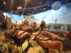 -陕西自然博物馆