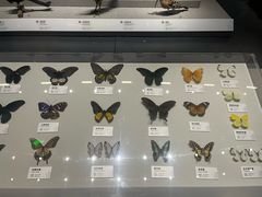 -四川大学博物馆
